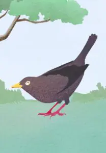 Krafttierkarte „Amsel“ – Illustration aus dem monjogh Kartenset