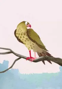 Krafttierkarte „Habicht“ – Illustration aus dem monjogh Kartenset