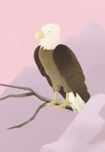 Krafttierkarte „Adler“ – Illustration aus dem monjogh Kartenset