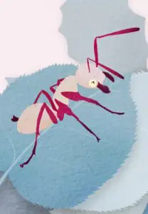 Krafttierkarte „Ameise“ – Illustration aus dem monjogh Kartenset