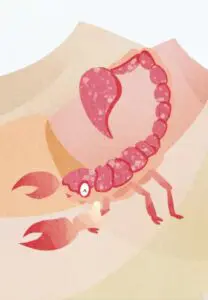 Krafttierkarte „Skorpion“ – Illustration aus dem monjogh Kartenset