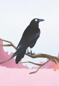 Krafttierkarte „Krähe“ – Illustration aus dem monjogh Kartenset